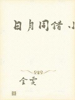 日月同错 小说