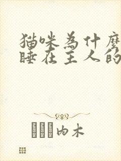 猫咪为什么喜欢睡在主人的旁边