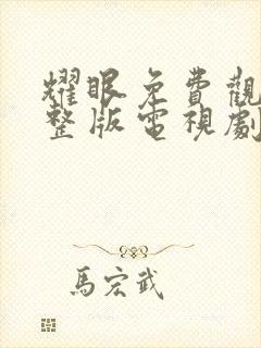 耀眼免费观看完整版电视剧全集封面