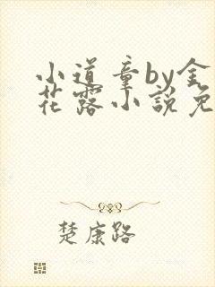 小道童by金银花露小说免费阅读笔趣阁