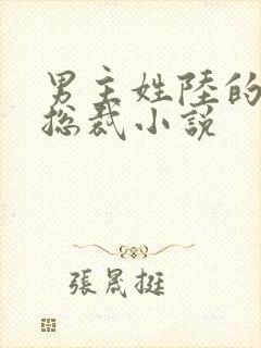 男主姓陆的所有总裁小说