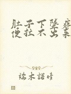 肚子下坠疼想大便拉不出来封面