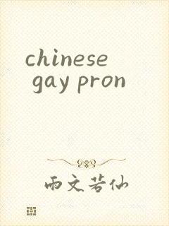 chinese gay pron封面