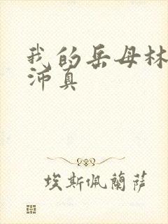 我的岳母林道苏沛真