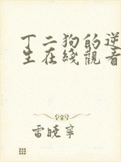 丁二狗的逆袭人生在线观看