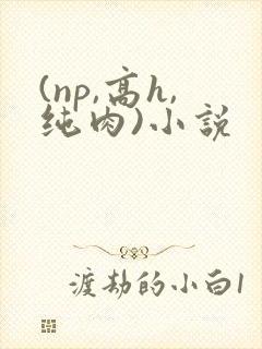 (np,高h,纯肉)小说封面