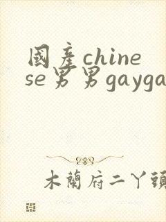 国产chinese男男gaygay无套网站