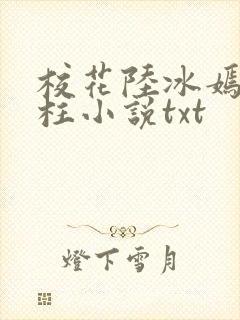 校花陆冰嫣陈宝柱小说txt