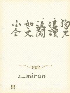 小如流浪狗01全文阅读免费无弹窗