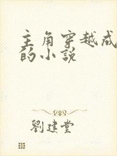 主角穿越成系统的小说