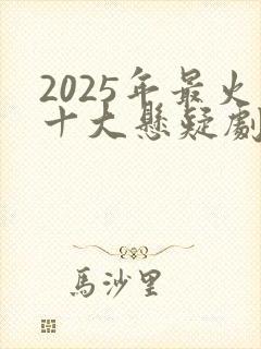 2025年最火十大悬疑剧