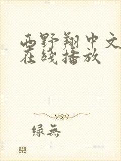 西野翔中文字幕在线播放封面