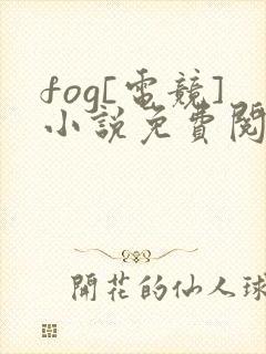 fog[电竞]小说免费阅读完整版在线