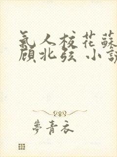 气人校花苏o,顾北弦 小说