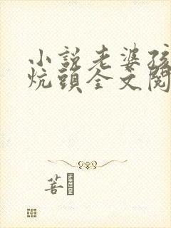 小说老婆孩子热炕头全文阅读