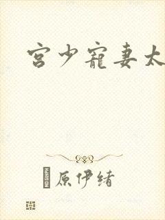 宫少宠妻太凶猛