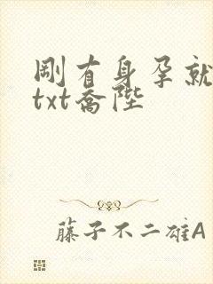 刚有身孕就离婚txt乔陛