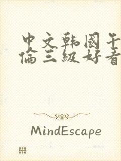 中文韩国午夜理伦三级好看