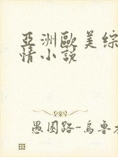 亚洲欧美综合激情小说封面