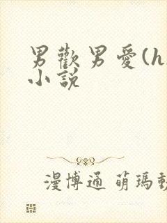 男欢男爱(h)小说