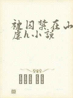 被囚禁在山村淫虐h小说