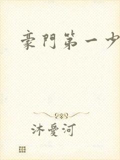 豪门第一少夫人