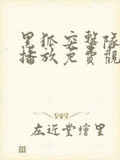 黑狐突击队在线播放免费观看封面