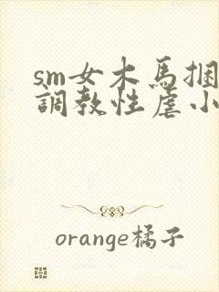 sm女木马捆绑调教性虐小说