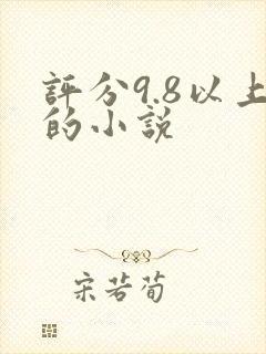 评分9.8以上的小说