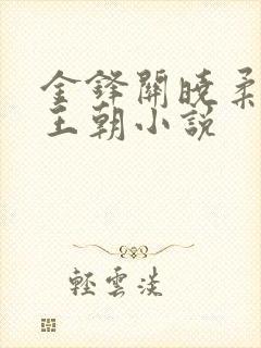 金锋关晓柔大康王朝小说