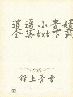 逍遥小贵婿下载全集txt下载封面