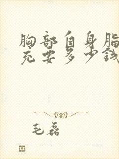 胸部自身脂肪填充要多少钱封面