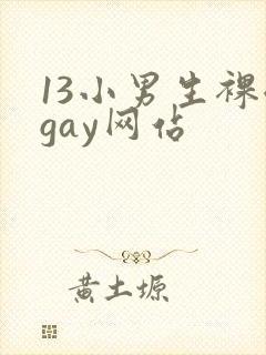 13小男生裸体gay网站封面