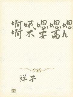 啊哦嗯嗯嗯嗯啊啊不要高h