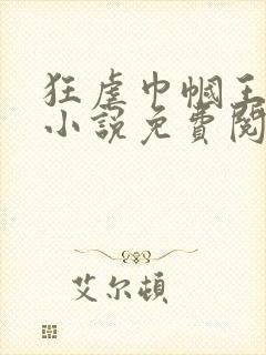 狂虐巾帼王安莉小说免费阅读全文