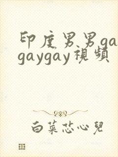 印度男男gaygaygay视频