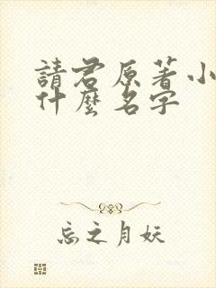 请君原著小说叫什么名字