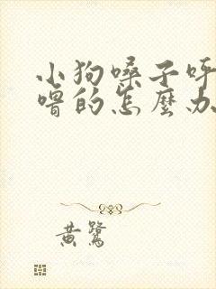 小狗嗓子呼噜呼噜的怎么办