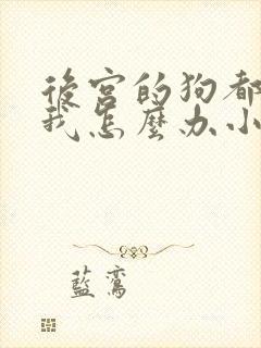 后宫的狗都太爱我怎么办小说
