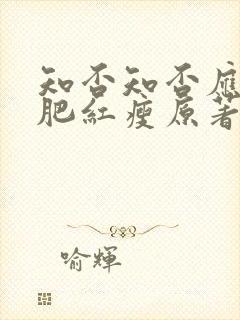 知否知否应是绿肥红瘦原著