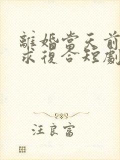 离婚当天前夫跪求复合短剧