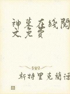 神墓在线阅读全文免费封面