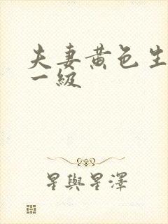 夫妻黄色生活片一级封面