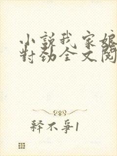 小说我家娘子不对劲全文阅读免费