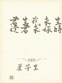 君生我未生恨不逢君未嫁时