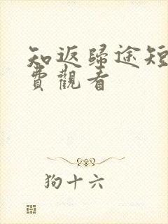 知返归途短剧免费观看