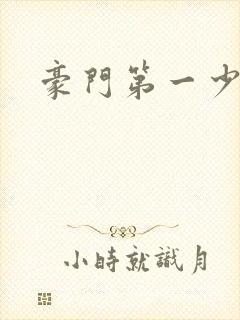 豪门第一少夫人