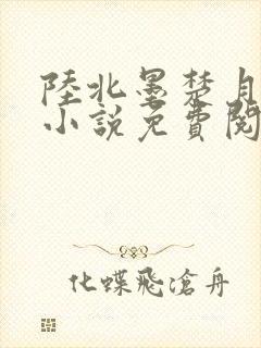 陆北墨楚月离的小说免费阅读无弹窗