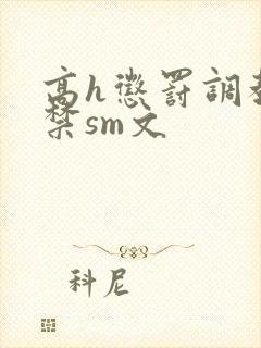 高h惩罚调教囚禁sm文