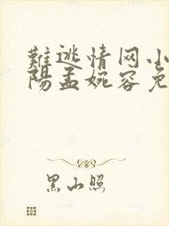 难逃情网小说陈阳孟婉容免费阅读封面